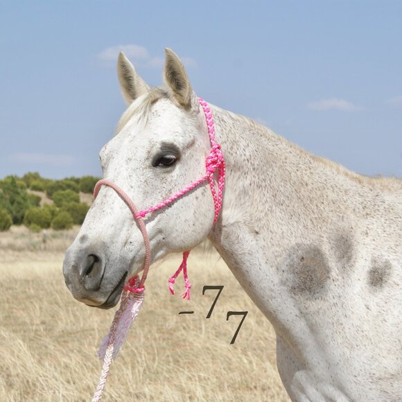 Handmade Braided Paracord Halter w/ Lariat Rope Noseband & Braided Lead - Pink - Picture 1 of 1